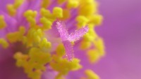 /album/itea-biologia/imga0066-jpg/