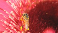 /album/itea-biologia/imga0294-jpg/