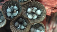/album/itea-biologia/imga0136-1-jpg/