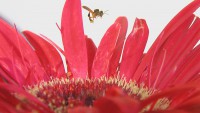 /album/itea-biologia/imga0193-jpg/