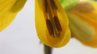/album/itea-biologia/imga0370-jpg/