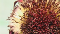 /album/itea-biologia/imga0389-jpg/
